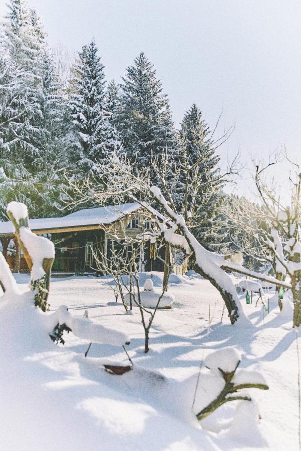 Blickinsfreie - Cabin Villa Schöneck Exteriör bild